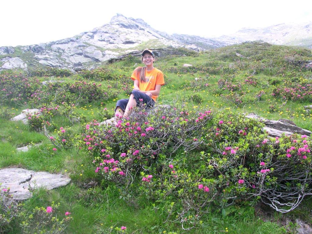 Pension Laurin Schenna Εξωτερικό φωτογραφία